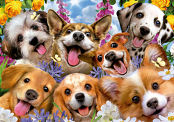 Puzzle 1000 el. Szczenięce selfie