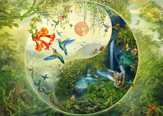 PQ Puzzle 1000 el. SILVIA CHRISTOPH W lesie kolibrów (Yin & Yang)