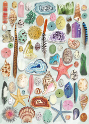 Puzzle 1000 el. Ciekawostki przyrodnicze