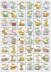 Puzzle 1000 el. Psia kość!