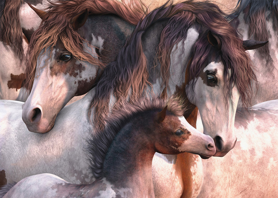 PQ Puzzle 1000 el. Konie Pinto