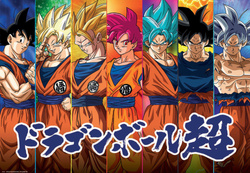 Puzzle 300 el. Dragon Ball Super