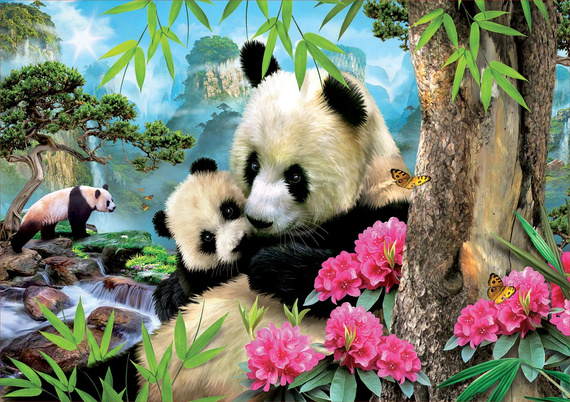 Puzzle 1000 el. Misie panda