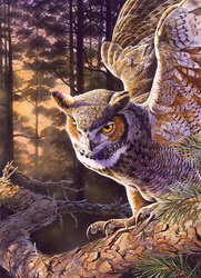 Puzzle 1000 el. Wieczorny łowca