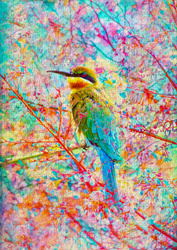 Puzzle 1000 el. Szczęśliwy ptak