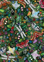 Puzzle 1000 el. Skrzydlate cuda