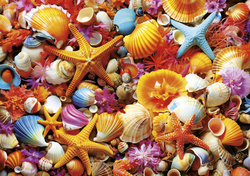 Puzzle 1000 el. Kolorowe muszelki