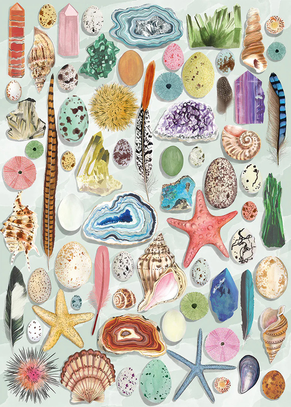 Puzzle 1000 el. Ciekawostki przyrodnicze