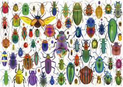 Puzzle 500 el. Kolorowe owady