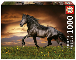 Puzzle 1000 el. Kłusujący koń
