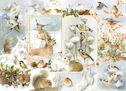 Puzzle 1000 el. Dziennik przyrodniczy: Zima