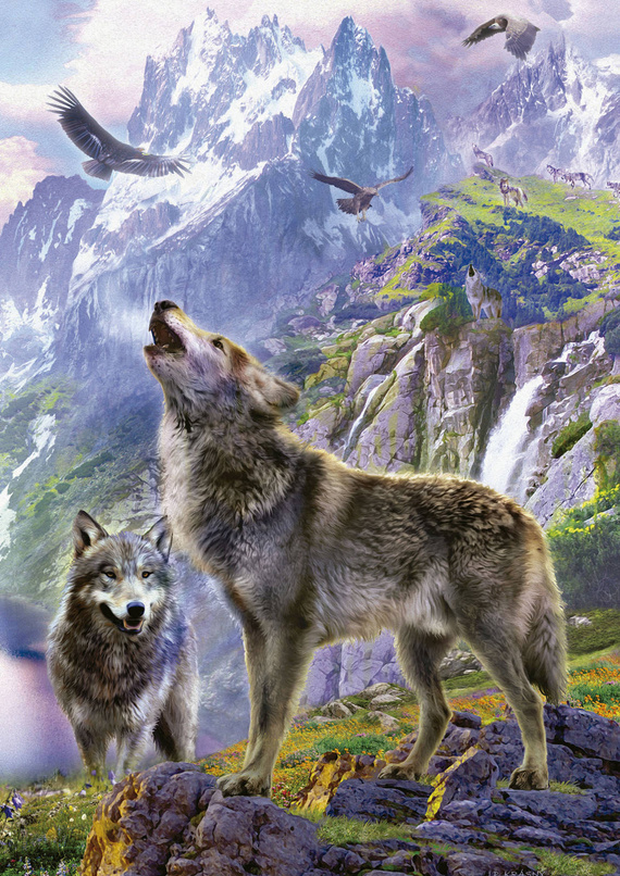 Puzzle 500 el. Wilki w górach