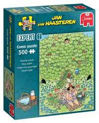 Puzzle Expert 500 el. JAN VAN HAASTEREN Piknik