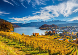 PQ Puzzle 2000 el. Winnice