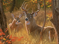 Puzzle 275 el. XL Urocze rendez-vous