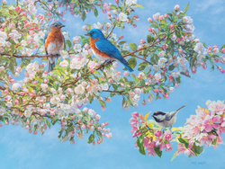 Puzzle 275 el. XL Kwitnienie