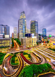 Puzzle 1000 el. Tokio / Japonia