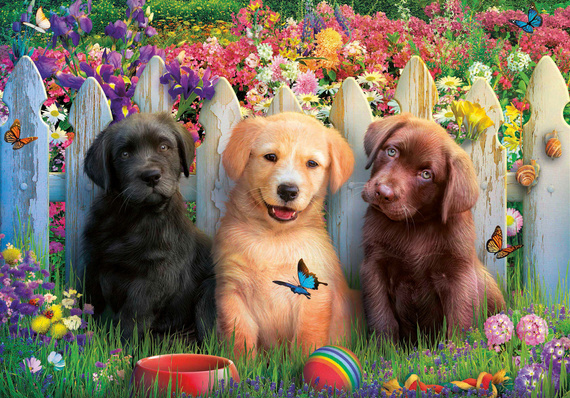 Puzzle 100 el. Szczeniaki