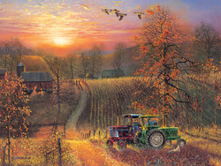 Puzzle 275 el. XL Jesienne słońce