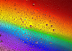 Puzzle 1000 el. Tęczowe krople